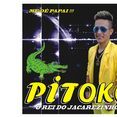 PITOKO O REI DO JACAREZINHO