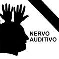 Nervo Auditivo