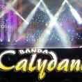 Calydance