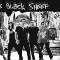 THE BLACK SHEEP