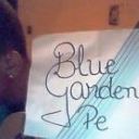 Jr mago - Blue garden PE