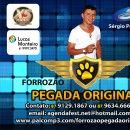 Forrozão Pegada Original