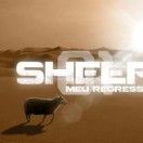 BANDA SHEEP 01