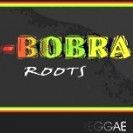 Kbobra roots
