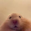 Paul
