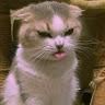 Nathalia