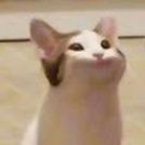 174
