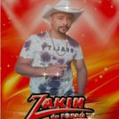 Zakin
