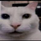 Milton