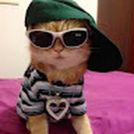 Meow