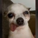 Juan