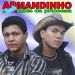 Armando