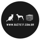 SUITE17