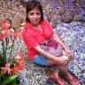 Jurema