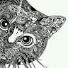 araly