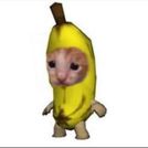 Felix