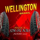wellington
