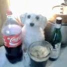 galletitasconmostaza