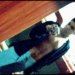Douglas