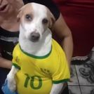 RiqueGTR