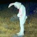 thimoteo