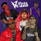 Viela