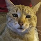 Marco