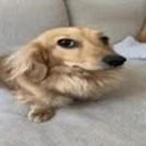 Miguel