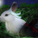 baobei
