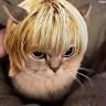 meow