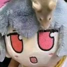 Rato