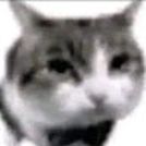Kirai664