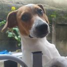 João