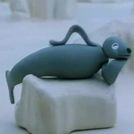 brunifero