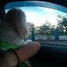 Italo