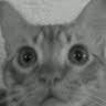 Leandro