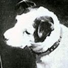 Alfonso