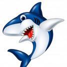 Shots
