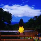 Stephany