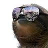 DumbSloth87
