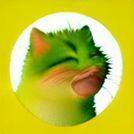 Your_Cat