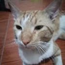 Jorge