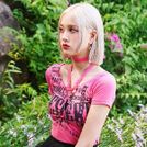 Lup