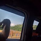 Wj