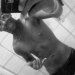 Prince