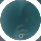 BabyBlue