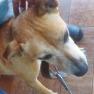Marcos