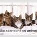 Josimare