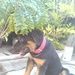 Gismar