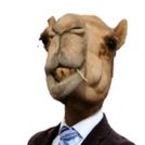 Gustavo